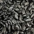 Glänzende schwarze Natursteinanhänger in Fischform für DIY-Schmuckherstellung und Basteln - 10 Stück/Packung (22x12x6mm) / Schwarzer Achat