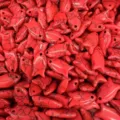 Roter kleiner Fisch Tierform Naturstein Anhänger für DIY Schmuck Bastelzubehör - 10 Stück/Packung (22x12x6mm) / Roter Türkis