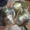 Close-up of natural iridescent black mother of pearl shell caviar dish plates - Approx. 50-60mm