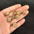Makrodetail quadratischer Naturstein-Cabochons mit Erdmustern für die DIY-Schmuckherstellung - Bilderjaspis