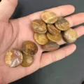 Cabochon rotondi da 20mm in diaspro marrone naturale per la creazione di gioielli - 20*6mm / Diaspro Paesaggio