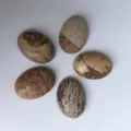 Cabochon en jaspe naturel ovale pour la fabrication de bijoux DIY et bagues - 6*8mm / Lot de 10 / Jaspe Paysage