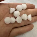 12mm carved white jade lotus seed pod beads for DIY jewelry and apparel accessory - Small Lotus Pod / 12mm / White Jade