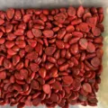 Detailed close-up of red teardrop stone cabochons with black veins for DIY jewelry - Red Howlite with Black Veins
