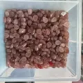 Macro view of natural strawberry quartz teardrop cabochons in a bulk storage tray - 6*8mm Teardrop / Strawberry Quartz