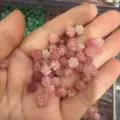 Small pink 3D shell powder rose beads for DIY jewelry making and hair accessories - Approx 6mm / Gradient Pink (1)