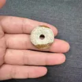 Natural 25mm stone Ping'an buckle pendant accessory for DIY jewelry and crafts - Picture Jasper