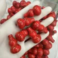 Roter marmorierter Stein-Flaschenkürbis-Anhänger für DIY-Halsketten und Schmuckbasteln - Ca. 18*30mm / Roter Türkis