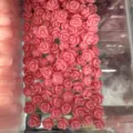 Pink 3D embossed shell powder rose beads with horizontal holes for DIY jewelry findings - 3D Rose Flower (2025-16) / 50 Pieces/Pack (10mm) / Pink