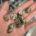 Pierres naturelles cabochon jaspe dalmatien ovales polies pour bijoux et artisanat DIY - 6X8mm / Lot de 10 / Pierre Tachetée