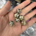 Dalmatian Jasper stone apple-shaped pendant with gold-colored leaf bail - 15mm (ai-10 Pieces/Pack) / Spotted Stone