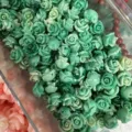 Green carved shell powder rose beads with cross-holes for DIY jewelry and hair accessories - 3D Rose Flower (2025-24) / 50 Pieces/Pack (10mm) / Green