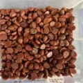 Bulk 6x8mm teardrop shaped brown goldstone cabochons with flat back for DIY jewelry making - 6*8mm Teardrop / Gold Sandstone