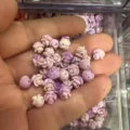 Purple shell powder carved mini rose beads with horizontal holes for DIY jewelry making - Approx. 6mm (Min. Order 100 Pcs) / Purple Pink Gradient (14)