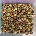 Wholesale bulk 6x8mm teardrop shaped natural picture jasper stone cabochons for DIY - 6*8mm Teardrop / Picture Jasper