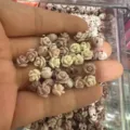 Mixed color shell powder 3D rose flower beads with horizontal holes for DIY crafting - Approx. 6mm (Min. Order 100 Pcs) / Multicolor Mix (17)