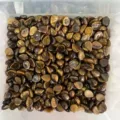 Natural tiger eye stone 6x8mm water drop flatback cabochons for DIY jewelry making accessories - 6*8mm Teardrop / Tiger's Eye