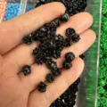 Small black shell powder embossed rose flower beads for DIY hair clips and jewelry making - Approx 6mm / Black(19)