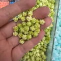 Light green 3D shell powder rose beads with horizontal holes for DIY jewelry crafts - Approx 6mm / Light Green (28)