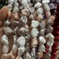 Vue détaillée de perles de coquillage baroques irrégulières pour la création de bijoux - Env. 20 mm (env. 20 perles par fil) / Multicolore 1