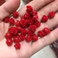 Red carved shell powder rose beads with horizontal hole for DIY jewelry making projects - 50 Pieces/Pack (10mm) / Red