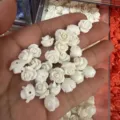 White 3D rose shaped shell powder beads with side hole for DIY jewelry and bracelet making - 50 Pieces/Pack (10mm) / Cream White