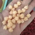 Natural shell powder carved rose flower beads with horizontal holes for DIY jewelry - 50 Pieces/Pack (10mm) / 米白淡杏色