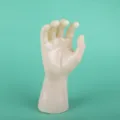 Plastic etalagepop hand display rekwisiet voor ringen armbanden horloges en sieraden. - Huidskleur / Herenhandmodel met gebogen vingers