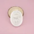 Detail view of the white oval silicone mold featuring a cute carousel horse design for DIY crafting. - Carousel Oval (4#) / Translucent White