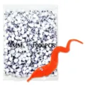 1000pcs yeux mobiles 4mm avec ensemble de jouets ver magique pour accessoires DIY. - 4mm (1000 Pièces/Paquet)
