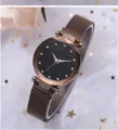 Damen Sternenhimmel Magnetische Mesh Armbanduhr, elegante Mode Quarzuhr für den Alltag. - Braun