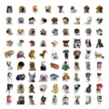80pcs funny dog meme stickers, waterproof vinyl cute graffiti decals for water bottle laptop case. - 80 Packs / Dog Emoji