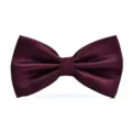 Close-up detail of burgundy red bow tie with subtle grid pattern, premium fabric texture. - Wine Red