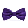 Purple textured bow tie detail showing fine grid pattern and neat shape for formal wear - Deep purple