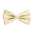 Close-up of golden textured bow tie showing fine mesh pattern and elegant fabric layer. - Champagne