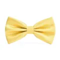 Yellow textured bow tie detail shot, premium fabric formal men neckwear accessory. - Golden Yellow