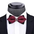 Close-up detail of red patterned bow tie with crystal rhinestone buckle on mannequin shirt. - T6003