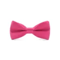 Pink satin bow tie detail shot, smooth fabric texture, elegant kids accessory close up. - Rose Red (Bulk)