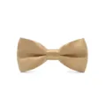 Close-up detail of the classic golden satin children bow tie, smooth texture and neat shape. - Champagne (Bulk)