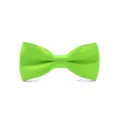 Bright green satin bow tie for kids, elegant solid color neckwear for students and events. - Emerald Green (Bulk)