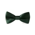 Classic dark green satin bow tie for kids, elegant and stylish accessory for formal events. - Dark Green (Bulk)