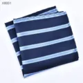 Detailopname van herenpak pochet, elegante donkerblauwe stof met lichtblauwe strepen. - Gestreepte Borstzakdoek (X8001)