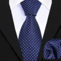 Men's blue dotted grid necktie and pocket square detail shot, elegant business formal wear. - Navy Blue Polka Dot