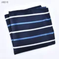 Detailweergave van een stijlvolle blauwe herenpochet met witte en lichtblauwe strepen. - Gestreepte Borstzakdoek (X8019)