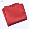 Wijnrode pochet, fijn geweven textuur, netjes gefold voor heren colbert borstzak. - Gestreepte Borstzakdoek (X8021)