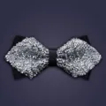 Kinder glänzende silberne Strass-Fliege, elegantes Party-Accessoire für Jungen und Kinder. - Glänzendes Silber
