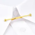 Goldfarbene Metall Hemdkragenstange Nahaufnahme, Herren Business Anzug Zubehör Detail - Gold