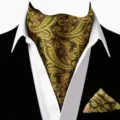 Set cravatta ascot e fazzoletto da taschino fantasia paisley per abito elegante uomo - D2X9003