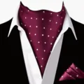 Gedetailleerd overzicht van bordeauxrode gestippelde herenstropdas en pochetset. - D2X9008