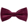Nœud papillon bordeaux à points blancs, accessoire élégant pour homme pour mariage et affaires. - Bordeaux